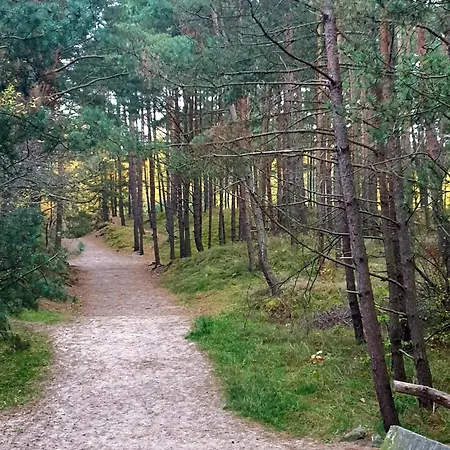 8a - Neptun Appartement