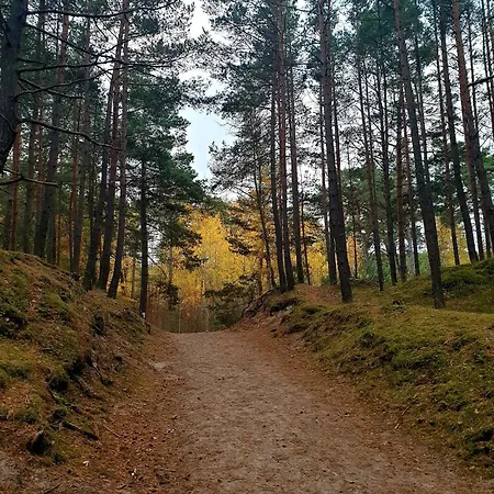 8a - Neptun Apartamento *