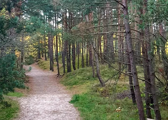 8a - Neptun Appartement