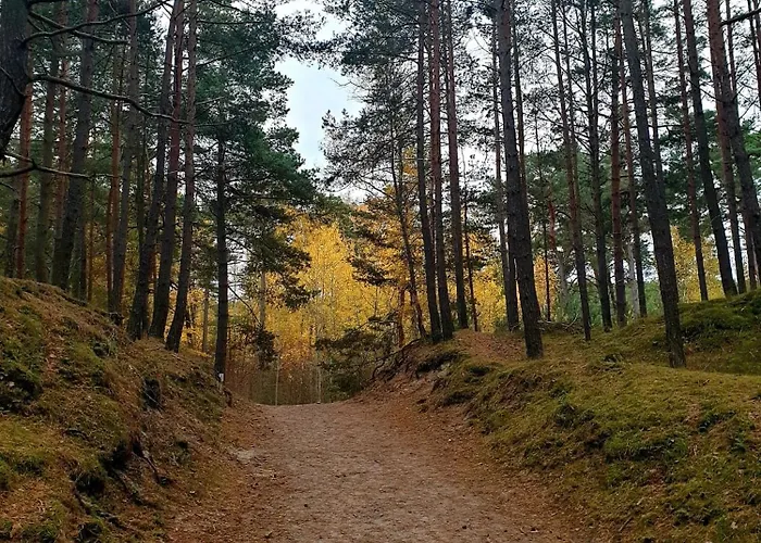 8a - Neptun شقة *